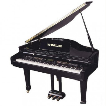 Цифровое пианино Worlde W-8808G дисклавир